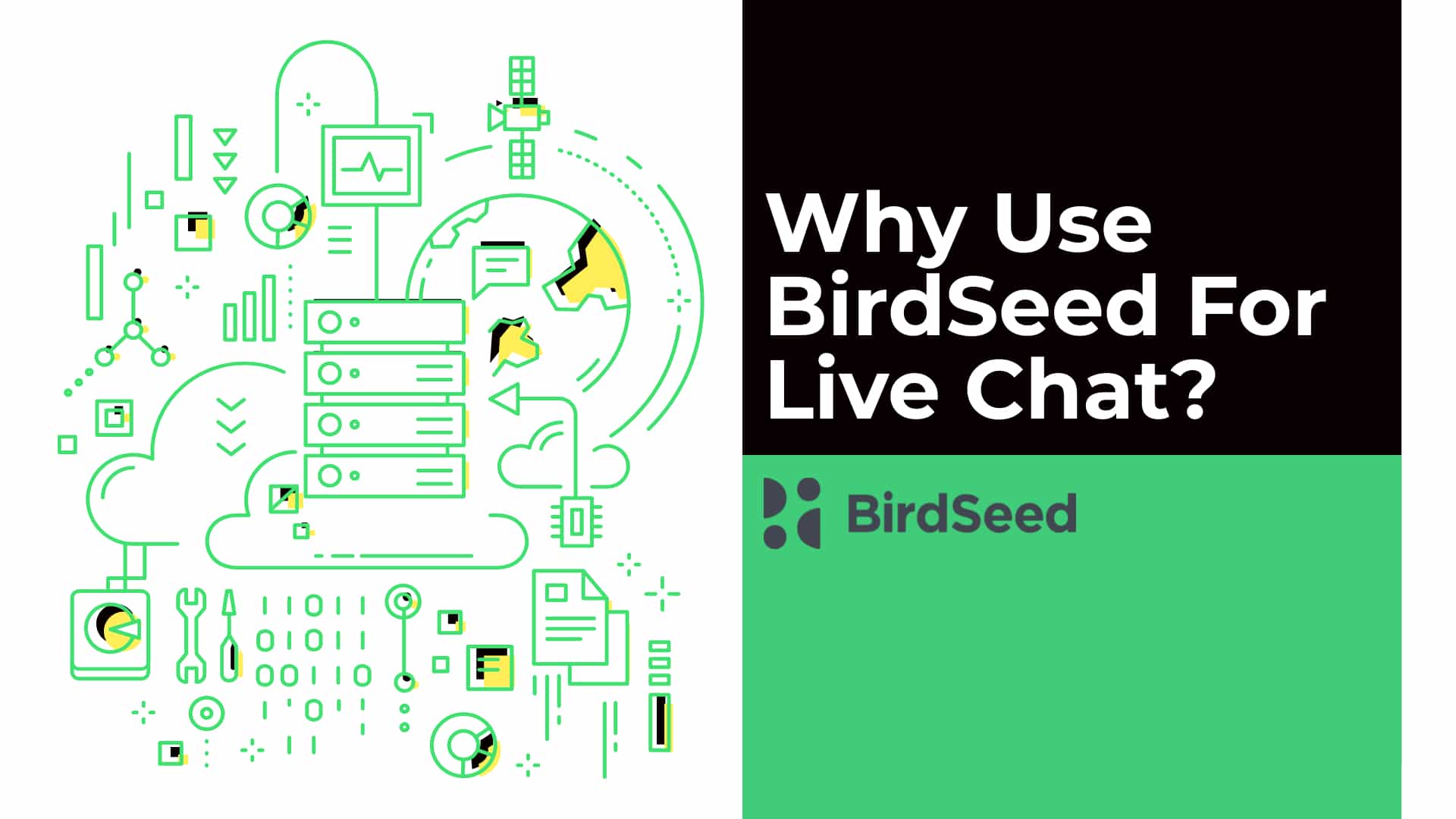 Why Use BirdSeed For Live Chat
