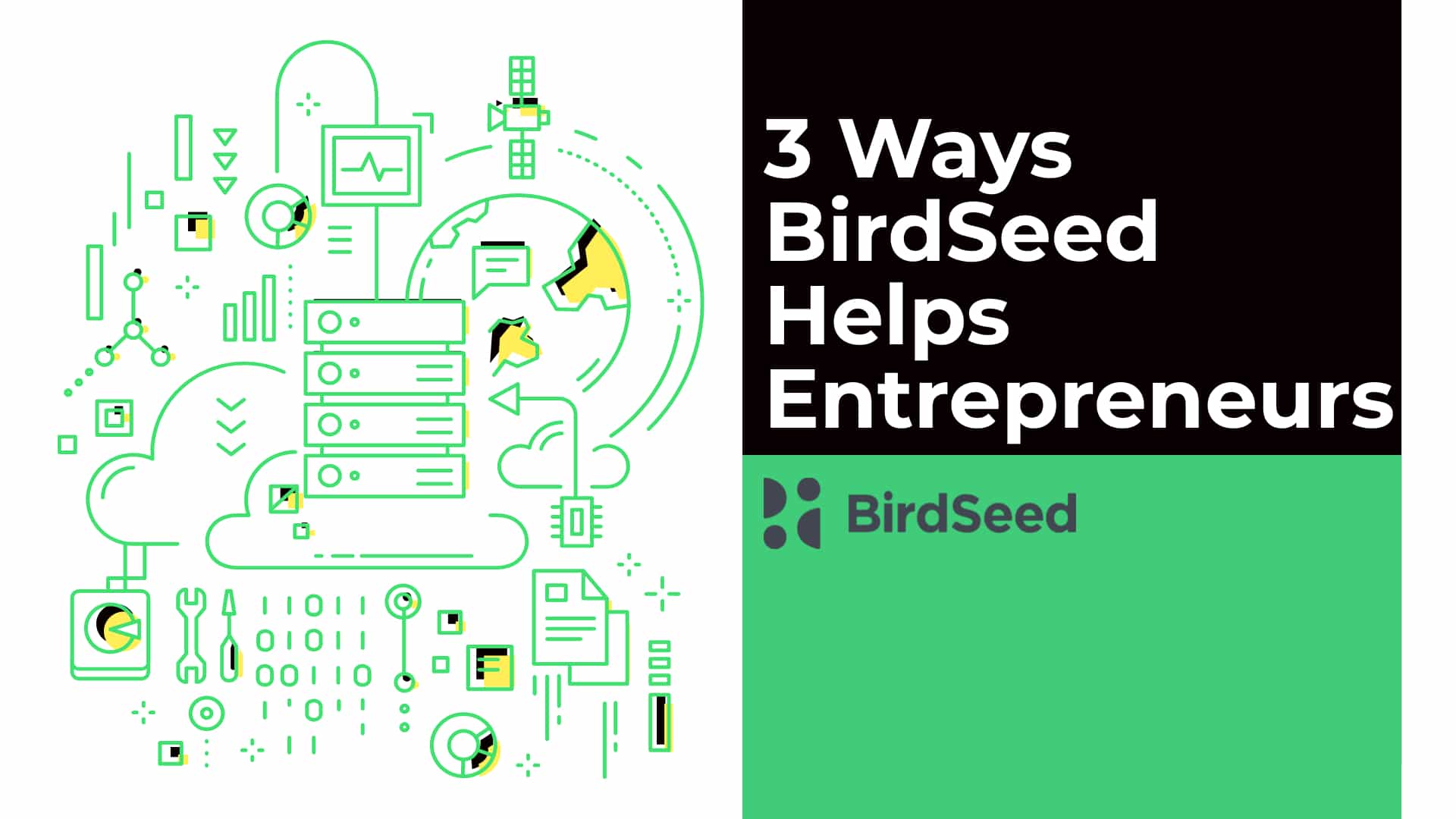 Connecting with your audience should be simple. BirdSeed is designed to be easy to use while helping you connect to your audience.